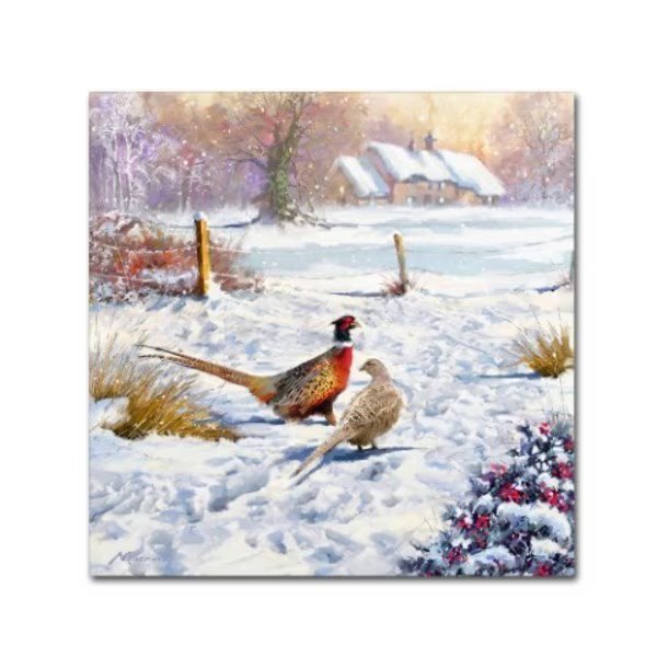 The Macneil Studio 'Winter Pheasants' Canvas Art, 18x18, Trademark Fine Art, Mfr#: ALI8671-C1818GG